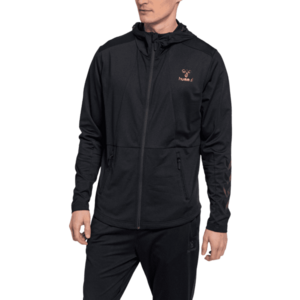 Kapucnis melegítő felsők Hummel ASTON ZIP HOODIE kép