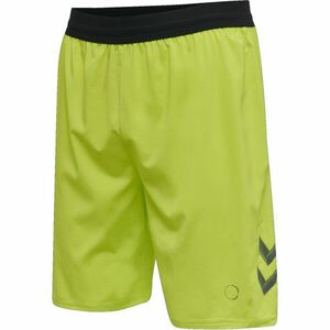 Rövidnadrág Hummel LEAD PRO TRAINING SHORTS kép