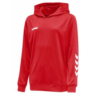 Kapucnis melegítő felsők Hummel PROMO KIDS POLY HOODIE kép
