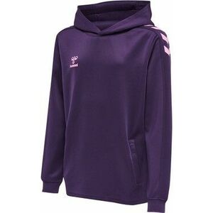 Kapucnis melegítő felsők Hummel CORE XK POLY KIDS SWEAT HOODIE kép