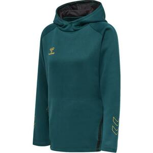 Kapucnis melegítő felsők Hummel CIMA XK HOODIE WOMAN kép