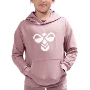 Kapucnis melegítő felsők Hummel hmlCUATRO HOODIE kép