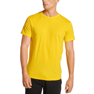 Rövid ujjú póló Hummel hmlRED BASIC T-SHIRT S/S kép