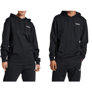 Kapucnis melegítő felsők Hummel LGC AUSTIN HOODIE kép
