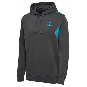 Melegítő felsők Hummel hmlSTALTIC COTTON HOODIE kép