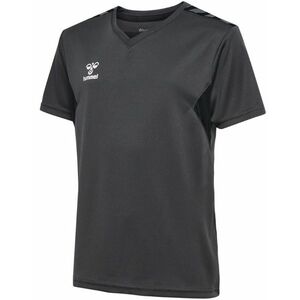 Póló Hummel HMLAUTHENTIC PL JERSEY S/S KIDS kép