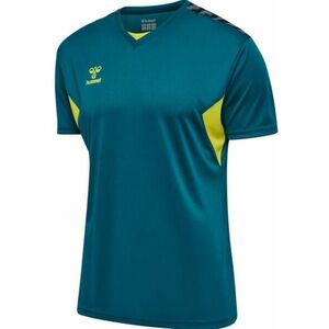 Póló Hummel HMLAUTHENTIC PL JERSEY S/S KIDS kép