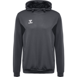 Kapucnis melegítő felsők Hummel HMLAUTHENTIC PL HOODIE kép