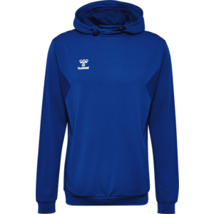 Kapucnis melegítő felsők Hummel HMLAUTHENTIC PL HOODIE kép