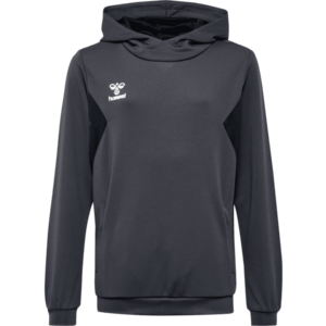 Kapucnis melegítő felsők Hummel HMLAUTHENTIC PL HOODIE KIDS kép