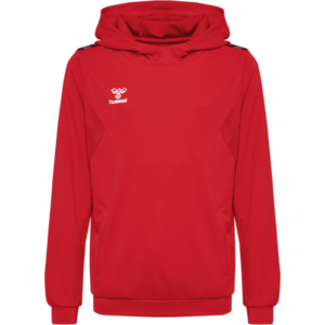 Kapucnis melegítő felsők Hummel HMLAUTHENTIC PL HOODIE KIDS kép