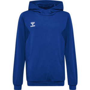 Kapucnis melegítő felsők Hummel HMLAUTHENTIC PL HOODIE KIDS kép