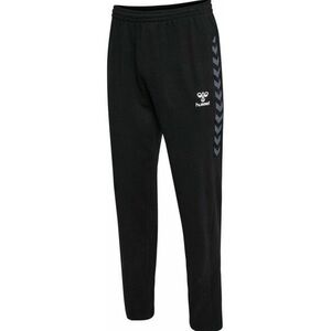 Nadrágok Hummel HMLAUTHENTIC CO TRAINING PANTS kép