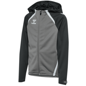 Melegítő felsők Hummel Hummel Lead 2.0 Hooded Jacket Kids kép