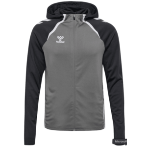 Kapucnis melegítő felsők Hummel Hummel Lead 2.0 Hooded Jacket Women kép