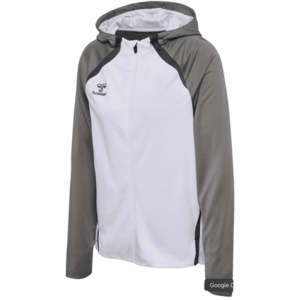 Kapucnis melegítő felsők Hummel Hummel Lead 2.0 Hooded Jacket Women kép