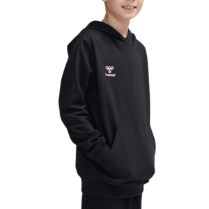 Kapucnis melegítő felsők Hummel HMLGO 2.0 HOODIE KIDS kép