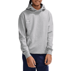 Kapucnis melegítő felsők Hummel HMLGO 2.0 HOODIE KIDS kép