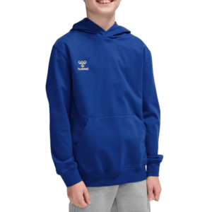Kapucnis melegítő felsők Hummel HMLGO 2.0 HOODIE KIDS kép