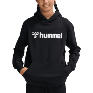 Kapucnis melegítő felsők Hummel HMLGO 2.0 LOGO HOODIE KIDS kép