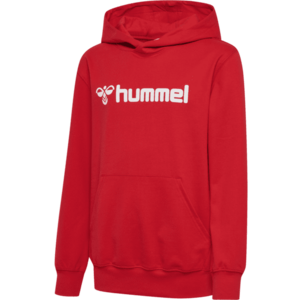 Kapucnis melegítő felsők Hummel HMLGO 2.0 LOGO HOODIE KIDS kép