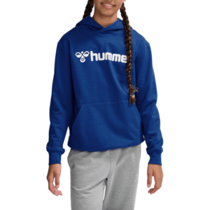 Kapucnis melegítő felsők Hummel HMLGO 2.0 LOGO HOODIE KIDS kép