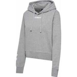 Kapucnis melegítő felsők Hummel hmlELEMENTAL SHORT HOODIE WOMAN kép