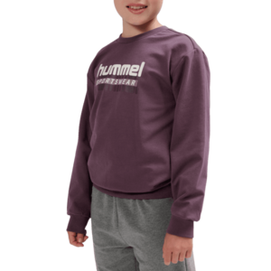 Melegítő felsők Hummel hmlTUKAS SWEATSHIRT kép