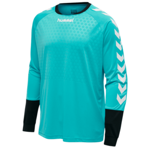 Hosszú ujjú póló Hummel ESSENTIAL GK JERSEY kép