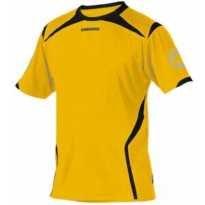 Hosszú ujjú póló Stanno TORINO T K.A. kép