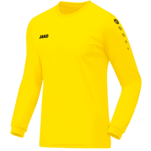 Póló Jako jako team jersey kép