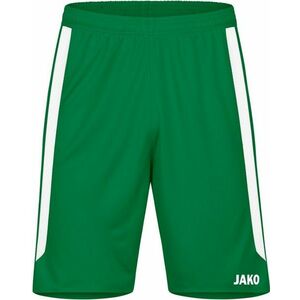 Rövidnadrág Jako Sporthose Power kép