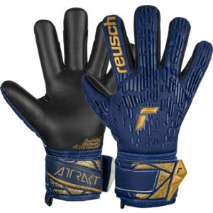 Kapuskesztyű Reusch Reusch Attrakt Freegel Silver Junior Goalkeeper Gloves kép