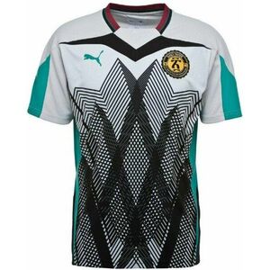 Rövid ujjú póló Puma x daily paper tee lila f39 kép