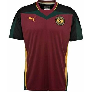 Rövid ujjú póló Puma x daily paper tee f95 kép