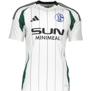 Póló adidas FC Schalke 04 Special 2024/25 Kids kép
