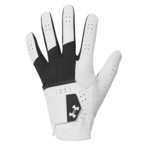 Kesztyűk Under Armour Iso-Chill Pro Golf Glove kép