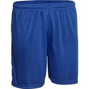 Rövidnadrág Derbystar Derbystar Basic Shorts kép