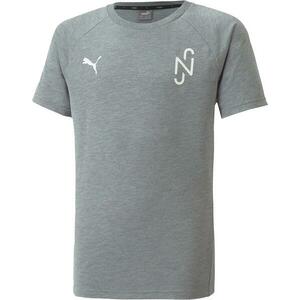 Rövid ujjú póló Puma NJR Evostripe T-Shirt Grau F05 kép