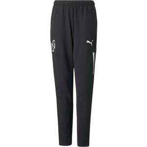 Nadrágok Puma NJR Copa Trainingshose Schwarz F01 kép