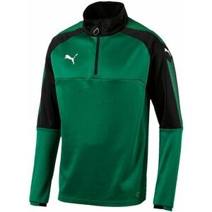 Melegítő felsők Puma ascension 1/4 zip top training kép
