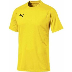 Rövid ujjú póló Puma LIGA Casuals Tee kép