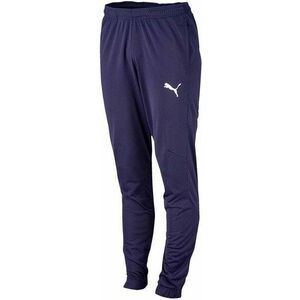 Nadrágok Puma liga sideline kids kép