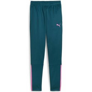 Nadrágok Puma teamLIGA Training Pants Jr kép