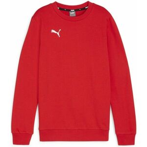 Melegítő felsők Puma teamGOAL Casuals Crew Neck Sweat Jr kép