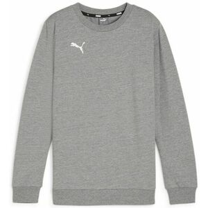 Melegítő felsők Puma teamGOAL Casuals Crew Neck Sweat Jr kép