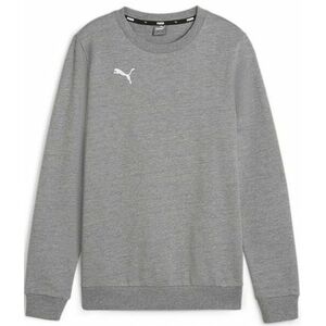 Melegítő felsők Puma teamGOAL Casuals Sweatshirt kép