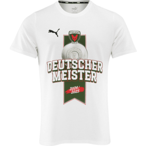 Rövid ujjú póló Puma Füchse Berlin Meister T-Shirt kép