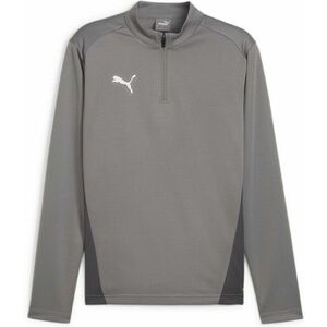 Hosszú ujjú póló Puma teamGOAL Training 1/4 Zip Top kép