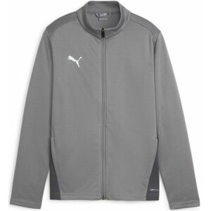 Dzseki Puma teamGOAL Training Jacket Jr kép